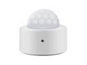 Датчик движения и освещённости Zigbee 3.0, CR2450